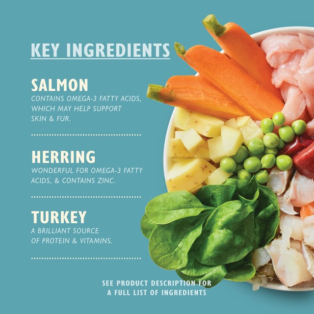 Lily's Kitchen Fishy Fish Pie with Peas wet dog food 400g, UK version