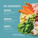 Lily's Kitchen Fishy Fish Pie with Peas wet dog food 400g, UK version
