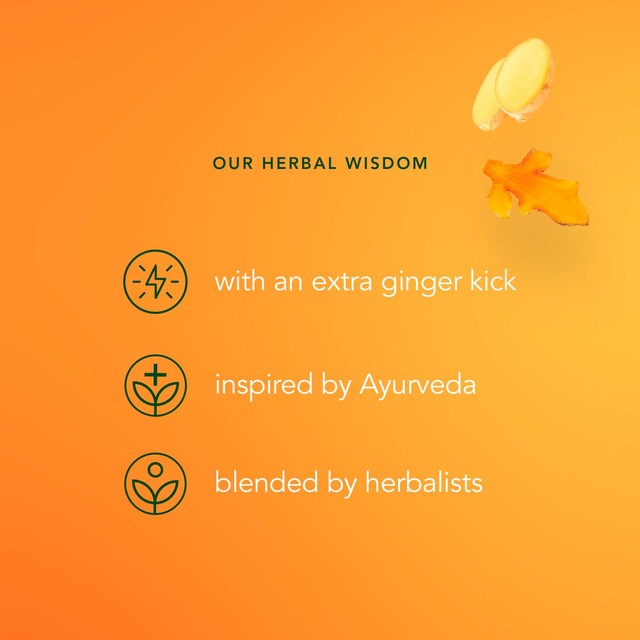 Pukka Three Ginger herbal tea bags x20, imported from the UK