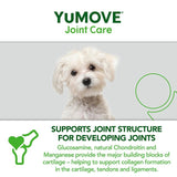 Lintbells YuMOVE Young & Active Dog Joint Supplement (British brand)