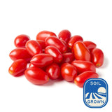 Natoora Sizilianische Datterini frische Tomaten 200g