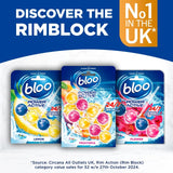Bloo Power Active Fruitopia toilet rim block (British brand)
