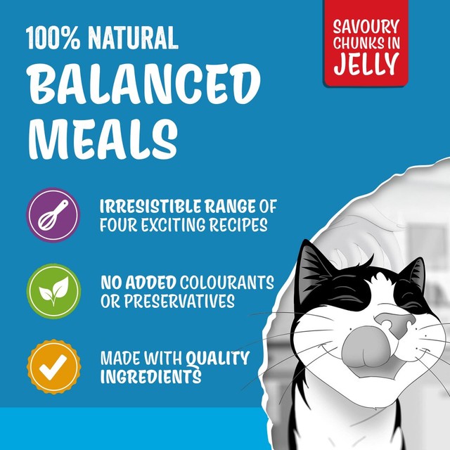 Felix Original Fish Selection in Jelly Wet Cat Food 40 x 85g - British product
