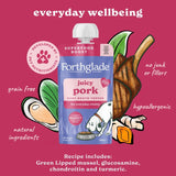 Forthglade bone broth topper for dogs, juicy pork (British brand)