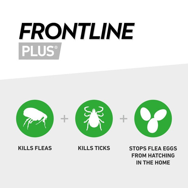Frontline flea treatment for large dogs 20-40kg - British product