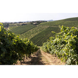 Bricchetto Pinot Grigio Rosé 75cl - British product