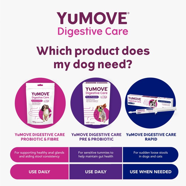 YuMOVE digestive support rapid paste for cats and dogs, UK version
