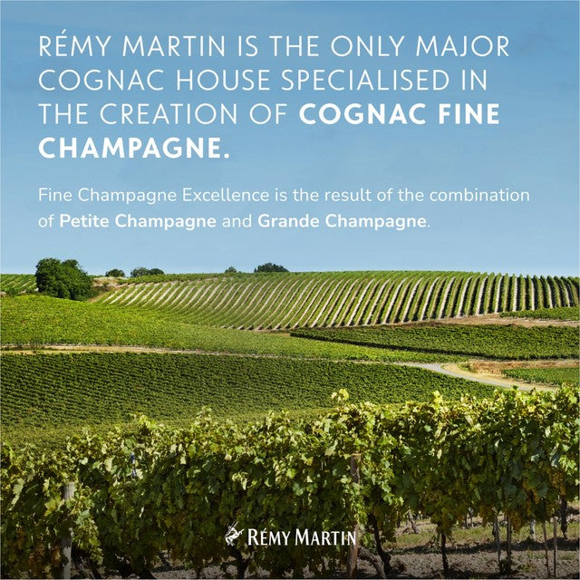 Remy Martin VSOP Cognac Fine Champagne 35cl, imported from the UK
