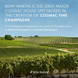 Remy Martin VSOP Cognac Fine Champagne 35cl, imported from the UK