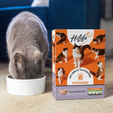 HiLife kitten food Tender Chicken 8 x 70g, UK version