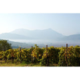 Gaia Assyrtiko white wine 75cl, UK version