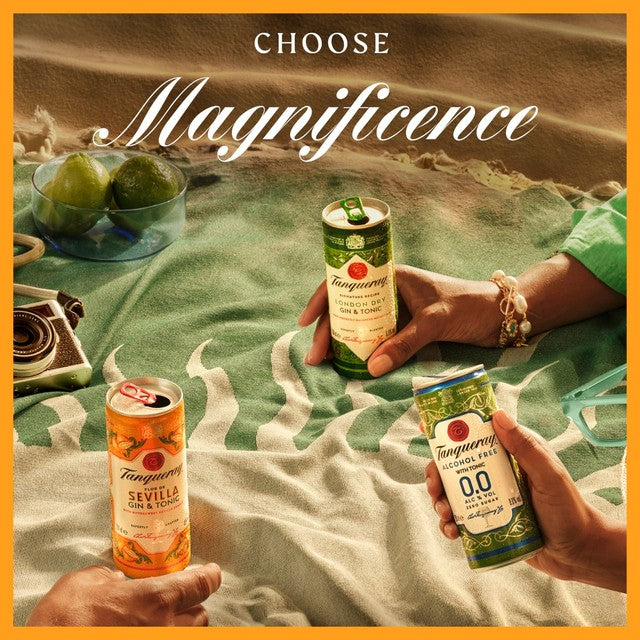 Tanqueray Flor de Sevilla gin and tonic ready-to-drink can 250ml (British brand)