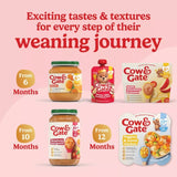 Cow & Gate apple banana baby food pots - British product