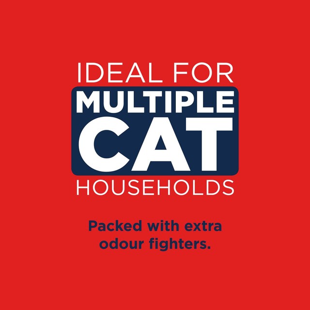 Ever Clean multiple cat clumping litter 10L - British product
