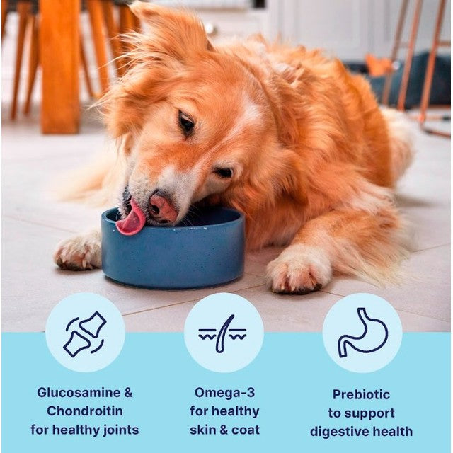 Tails dog food for medium and large dogs chicken 2kg (British brand)