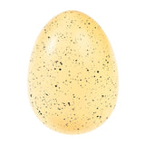 Rex London giant hatching dinosaur egg toy, imported from the UK