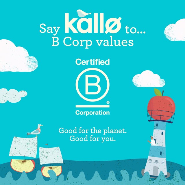 Kallo sea salt and cider vinegar lentil and pea cakes 122g, UK version