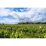 Esporao Monte Velho Branco white wine - British product