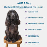 James & Ella raw kibble dog food with freeze-dried game, UK version
