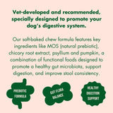 Marleybones gut supplement chew for dogs, imported from the UK
