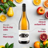 Virgin Wines Pinot Grigio wine 75cl, UK version