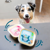 Edgard Cooper puppy wet dog food organic chicken fish - British product
