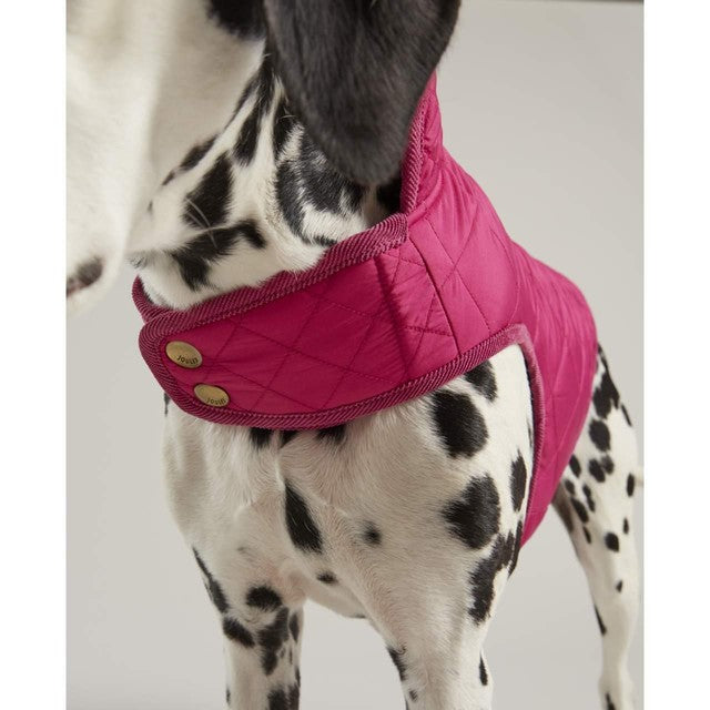 Joules raspberry quilted dog coat small, UK version