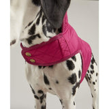 Joules raspberry quilted dog coat small, UK version