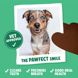 Denzel's medium dog dental chews with peanut butter, peppermint, and parsley, 28x30g pack - British product