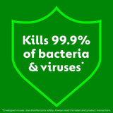 Dettol biodegradable antibacterial multi surface wipes 4x110, UK version