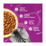 Whiskas wet cat food pouches aromatic poultry in gravy 12 x 85g (British brand)