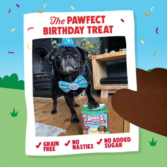 Denzel's birthday dog treats gift box 110g - British product