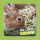 Burgess long stem feeding hay 1kg - British product