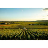 Louis Jadot dry white Chablis wine, unoaked Chardonnay, UK version