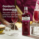 Gordon's Sloe Gin 70cl bottle glass liquid, UK version