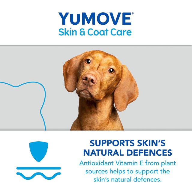 Lintbells YuMOVE skin and coat supplement for adult dogs 500ml (British brand)
