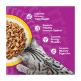 Whiskas 7+ senior wet cat food poultry feasts in jelly, imported from the UK