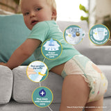 Pampers Baby-Dry Nappies Size 6 13-18kg, imported from the UK
