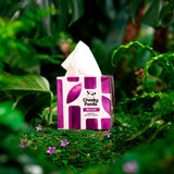 The Cheeky Panda bamboo balsam 4ply cube tissues 48 pack (British brand)