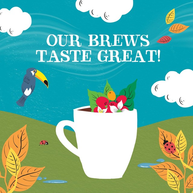 Clipper Latin American Fairtrade Organic Instant Coffee 100g - British product