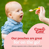 Cow & Gate apple pear banana apricot baby food pouch 100g - British product