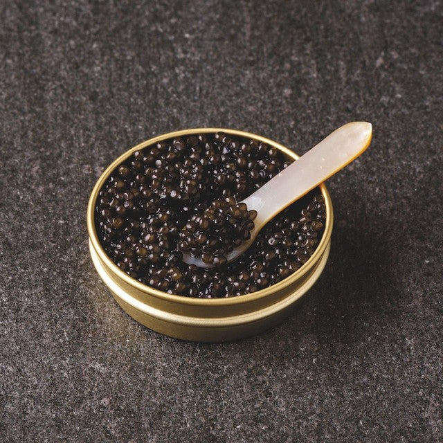 Kings Oscietra Caviar Premium Sturgeon Roe 50g, UK version