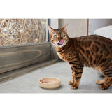Thrive wet cat food Tuna & Salmon 75g (British brand)