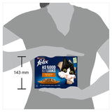 Felix meaty selection in jelly cat food 12 x 85g - British product
