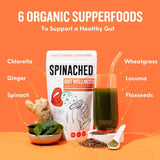 Spinached gut wellness probiotic supplement powder 200g (British brand)