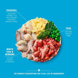 Lily's Kitchen Fish and Chips wet dog food (British brand)