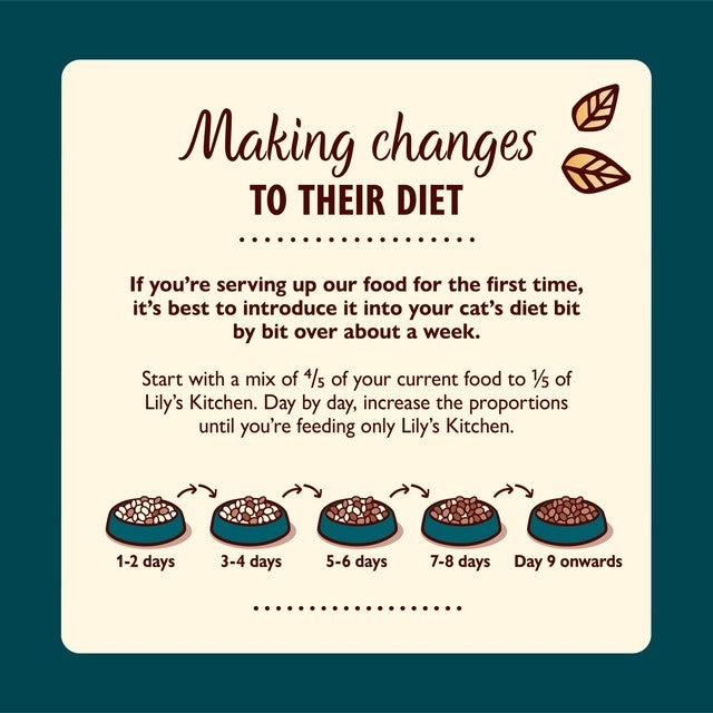 Lily's Kitchen tuna salmon wet cat food 70g, UK version