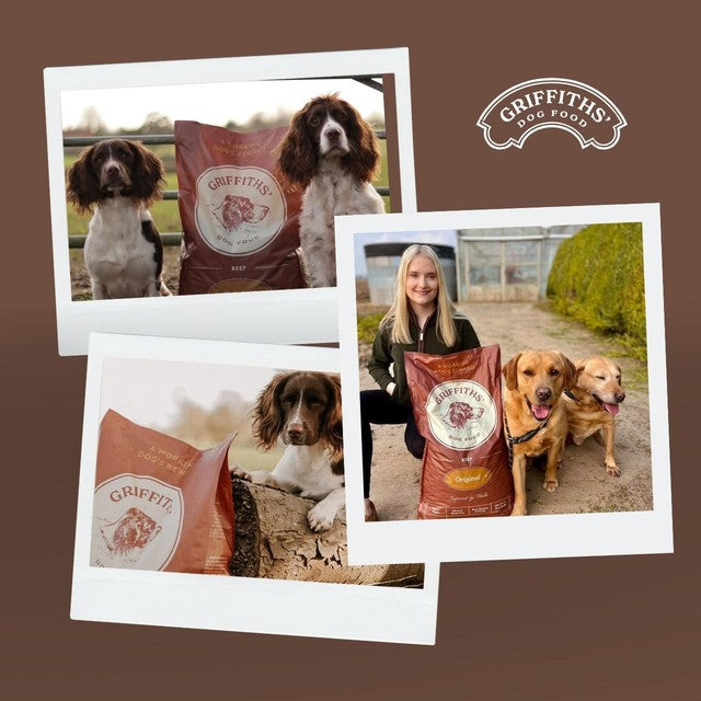 Griffiths original beef dry dog food 15kg, UK version
