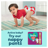 Pampers Premium Protection nappies Essential Pack Size 5 (11-16kg), imported from the UK