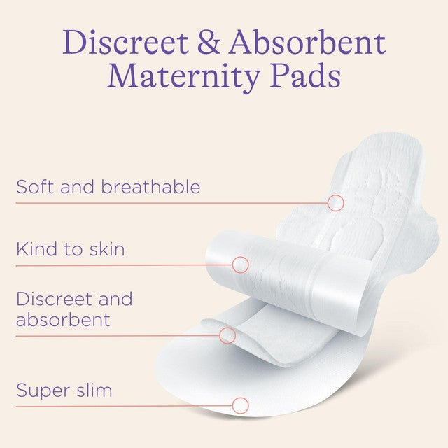 Lansinoh Discreet and Absorbent Maternity Pads 12 Pack, UK version